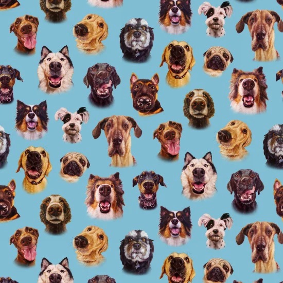 Dog Faces Blue - Follow Your Nose Collection by Lucia Heffernan
